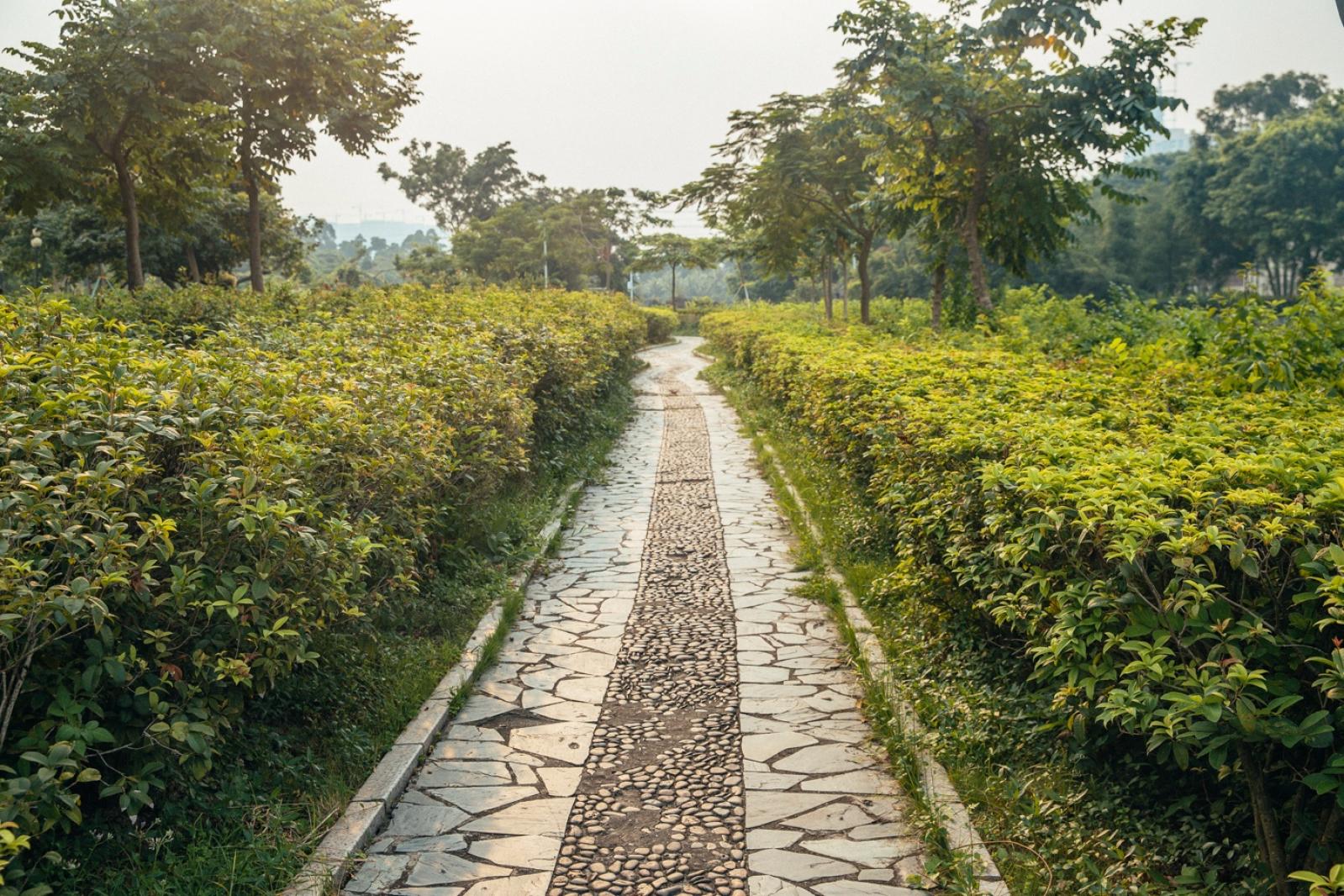 中山公园