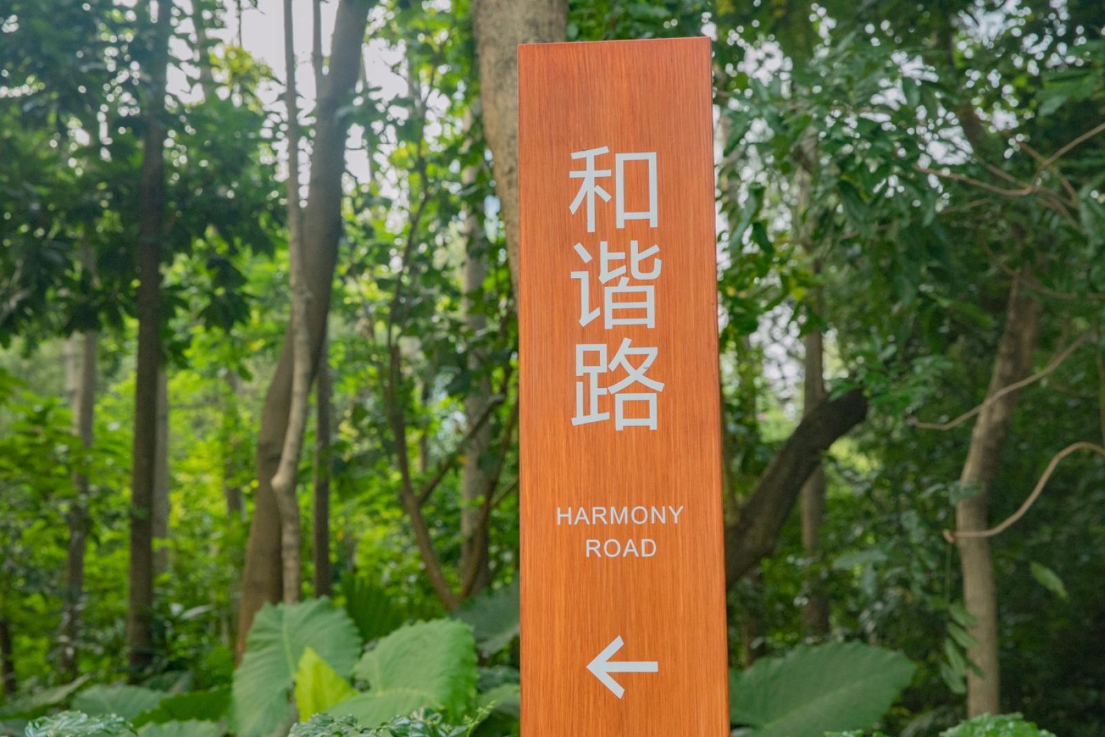中山公园