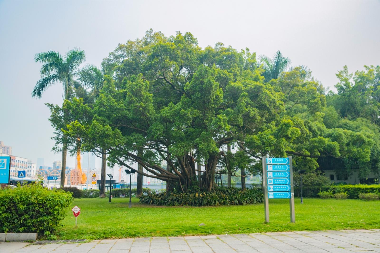 中山公园