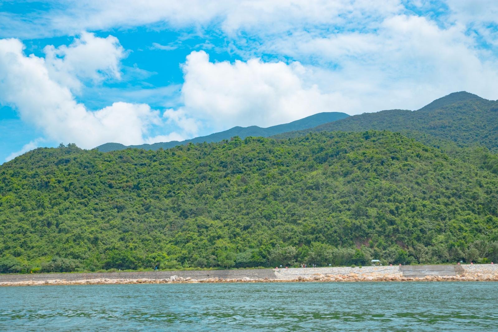 杨梅坑/鹿嘴山庄