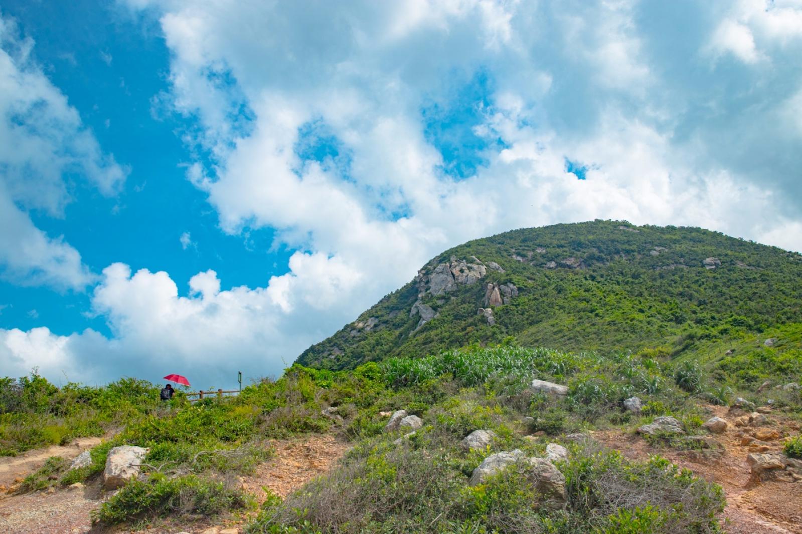 杨梅坑/鹿嘴山庄