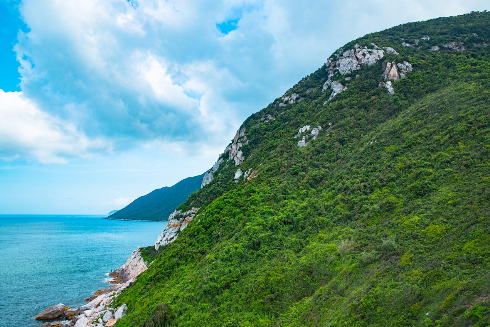 杨梅坑/鹿嘴山庄