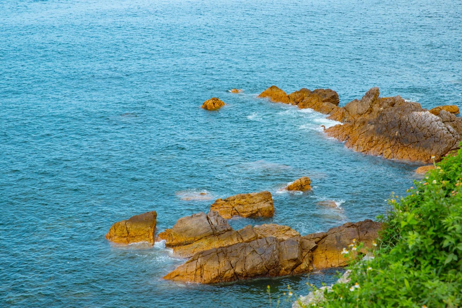 杨梅坑/鹿嘴山庄