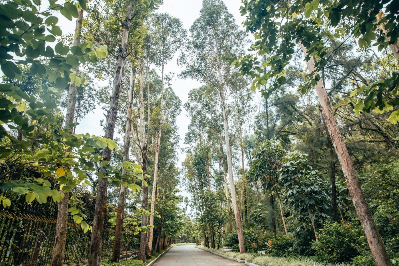 深圳南山公园(大南山）