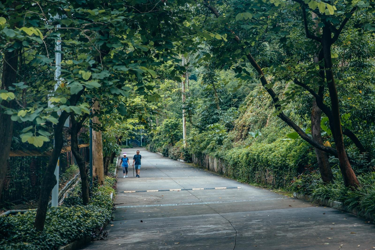 深圳南山公园(大南山）