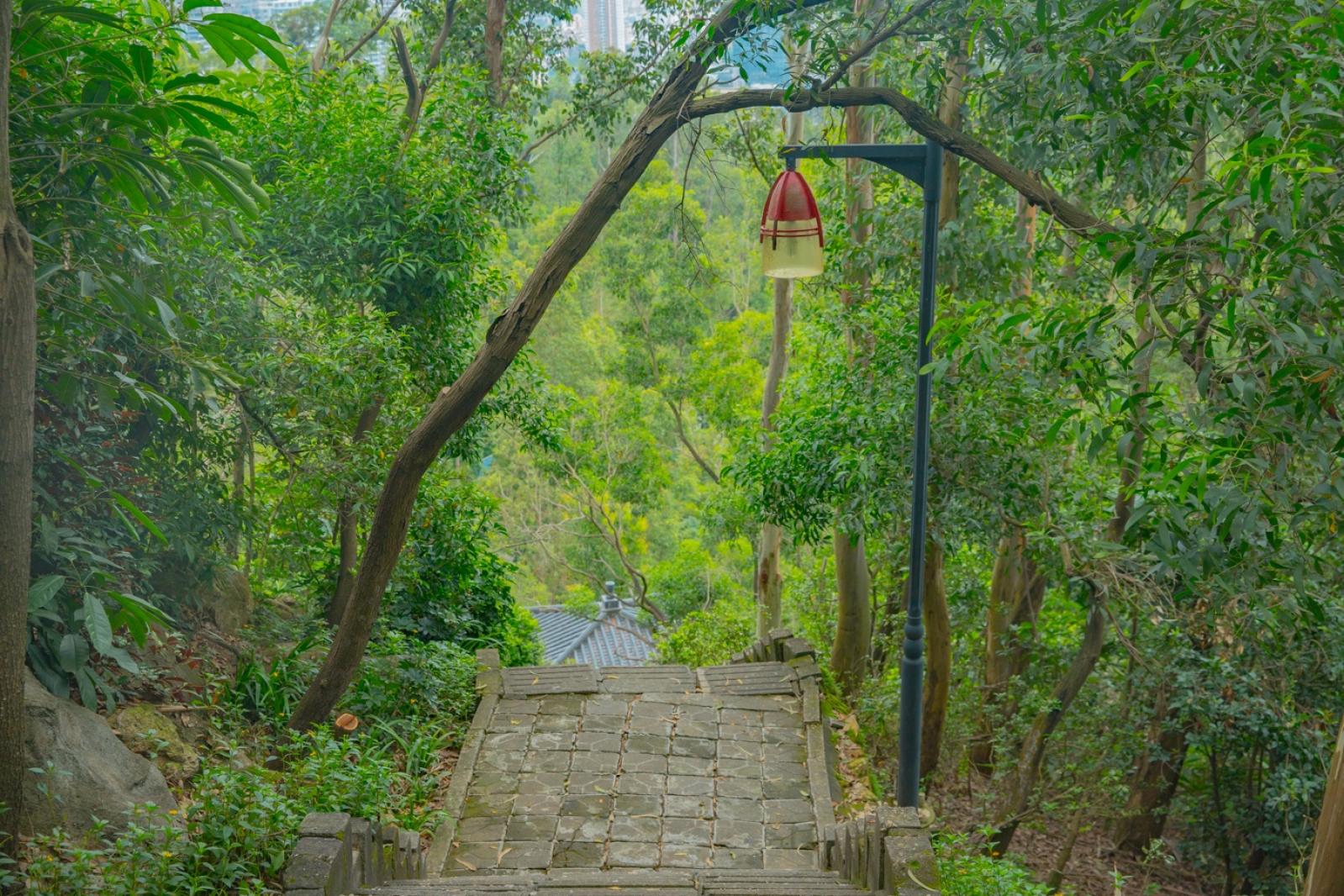 深圳南山公园(大南山）