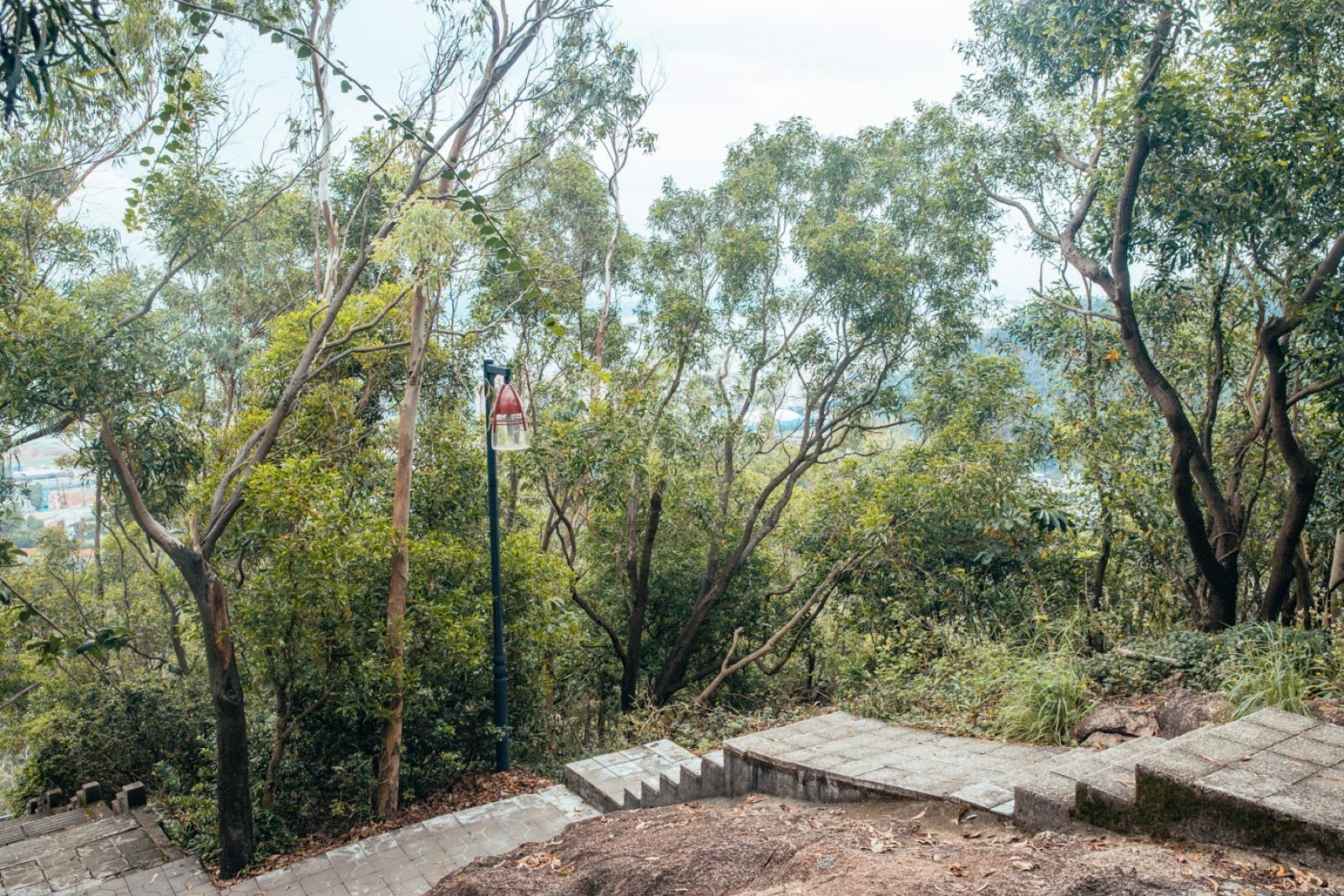 深圳南山公园(大南山）