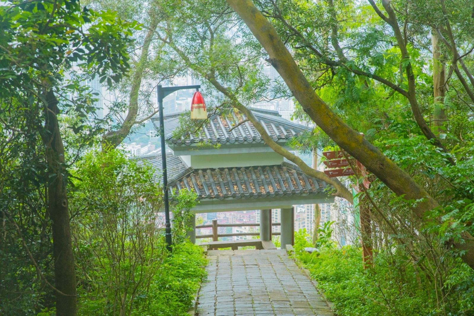 深圳南山公园(大南山）