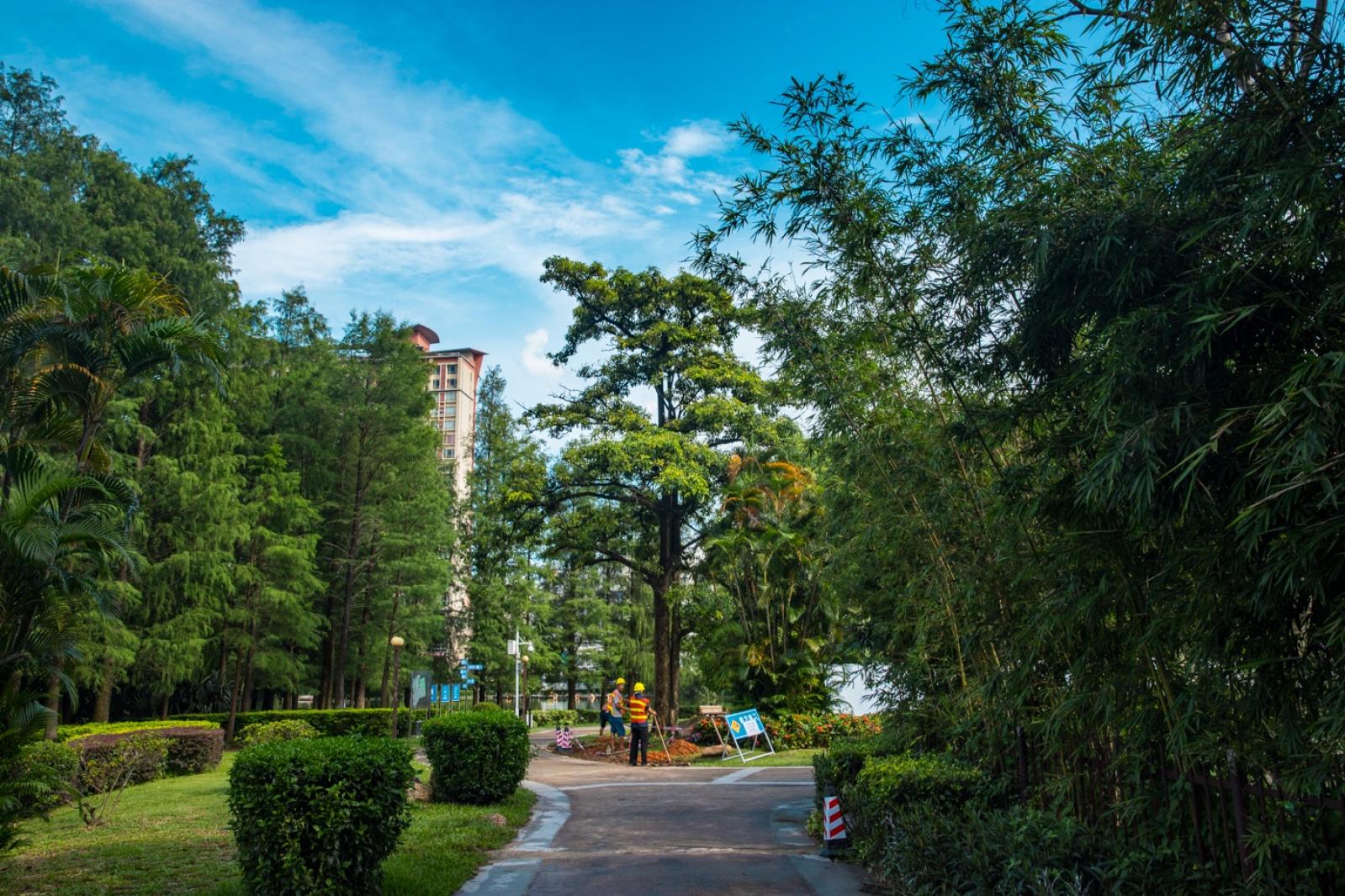 深圳四海公园