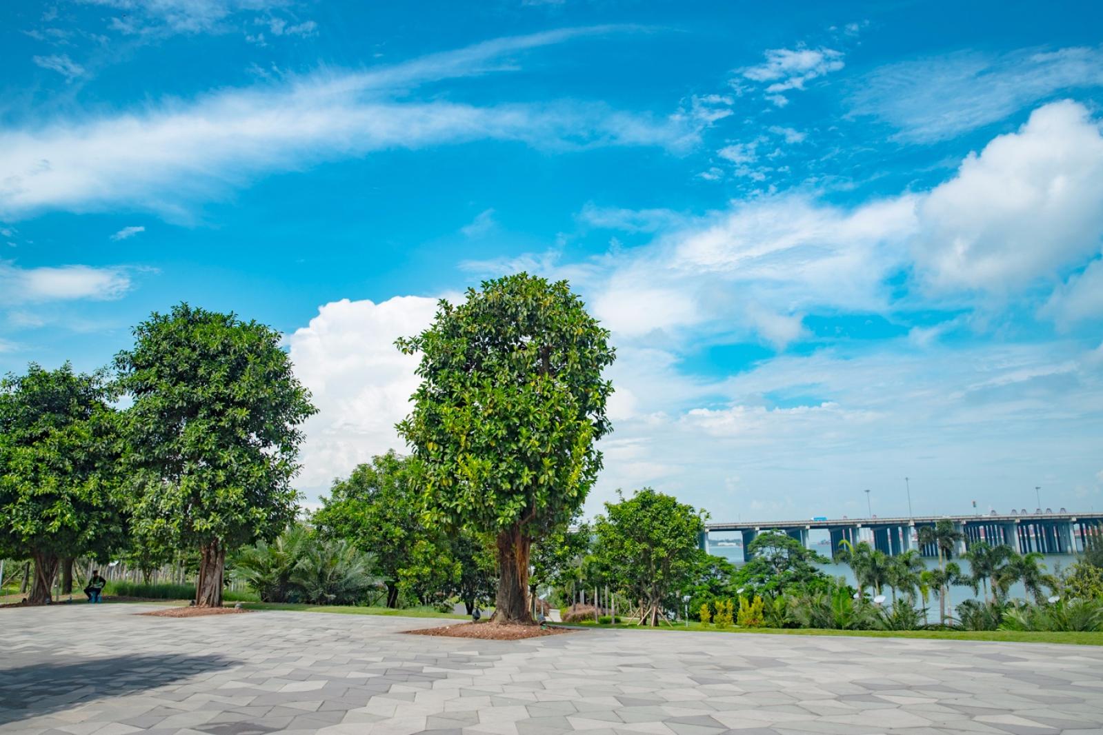 深圳前海石公园
