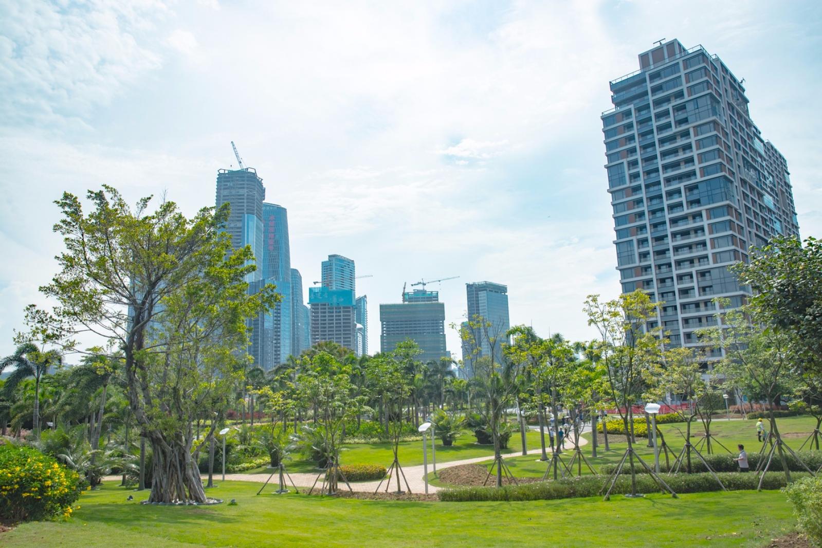深圳前海石公园