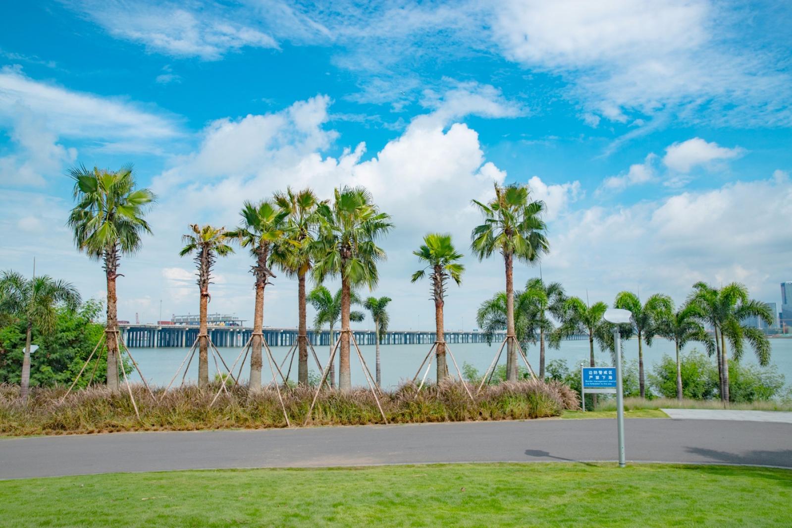 深圳前海石公园