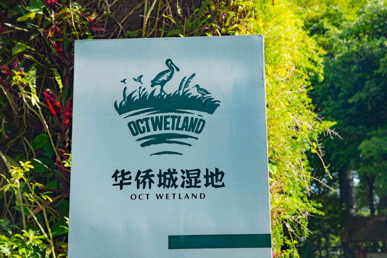 华侨城湿地公园