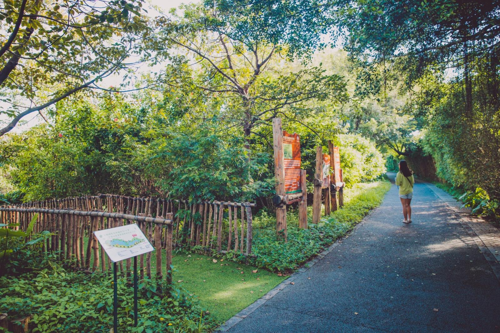 华侨城湿地公园