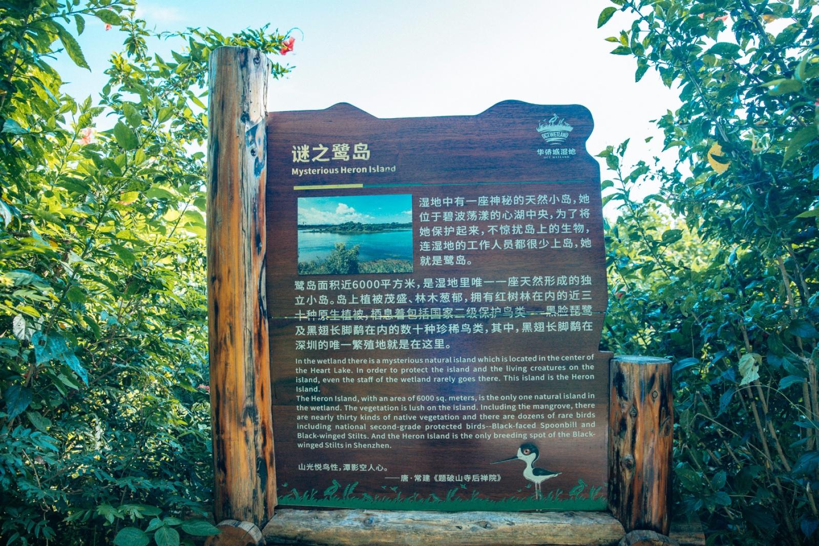 华侨城湿地公园