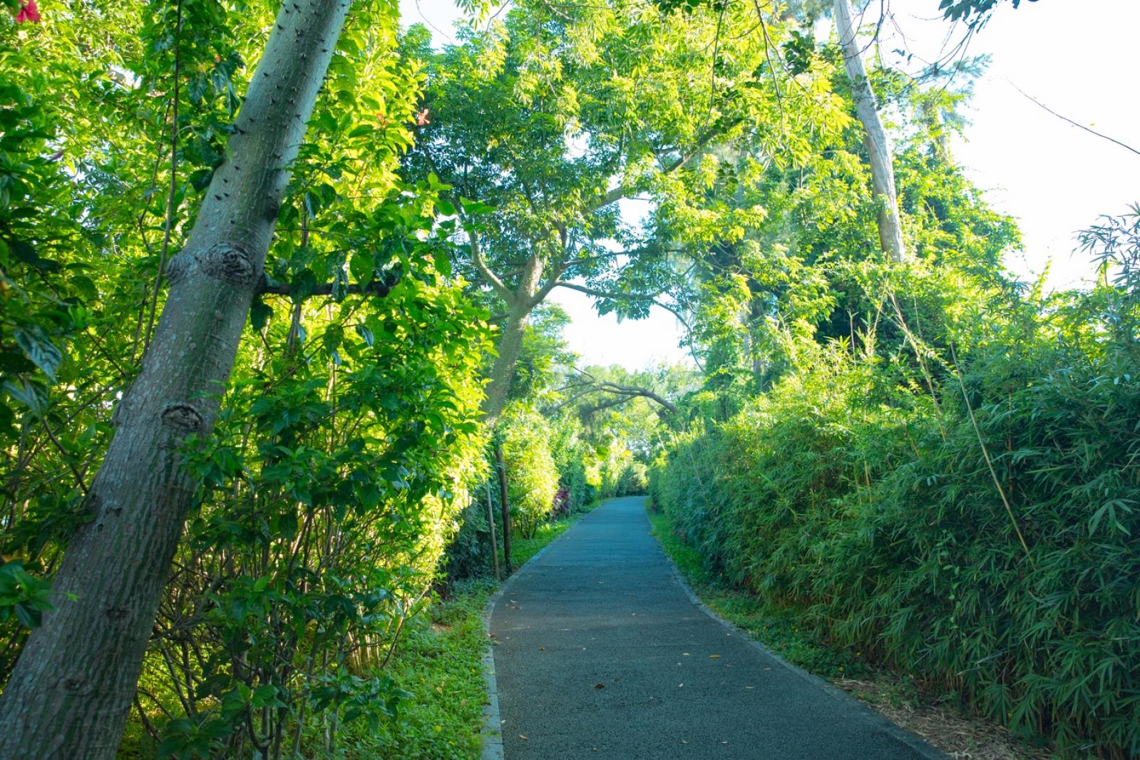 华侨城湿地公园