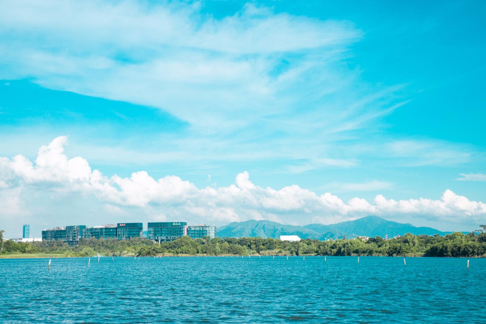 华侨城湿地公园