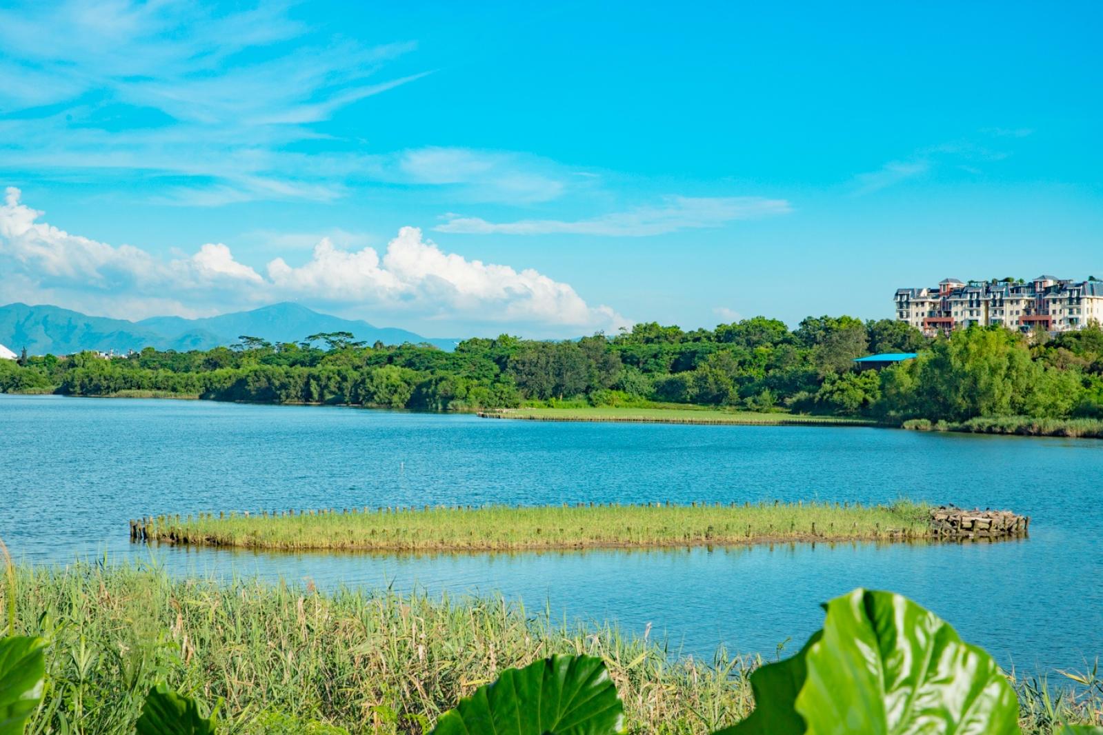 华侨城湿地公园
