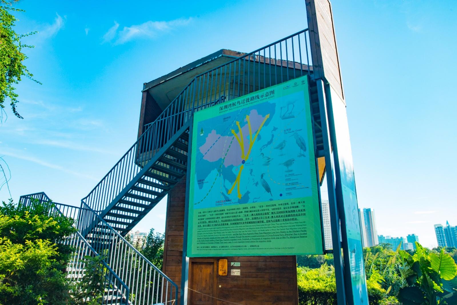 华侨城湿地公园