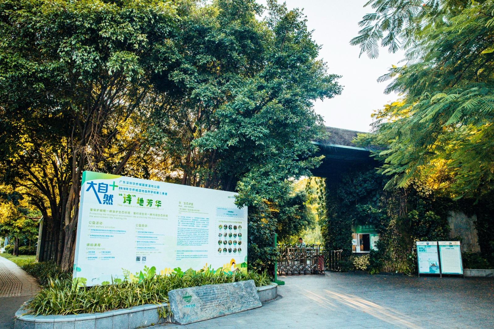 华侨城湿地公园
