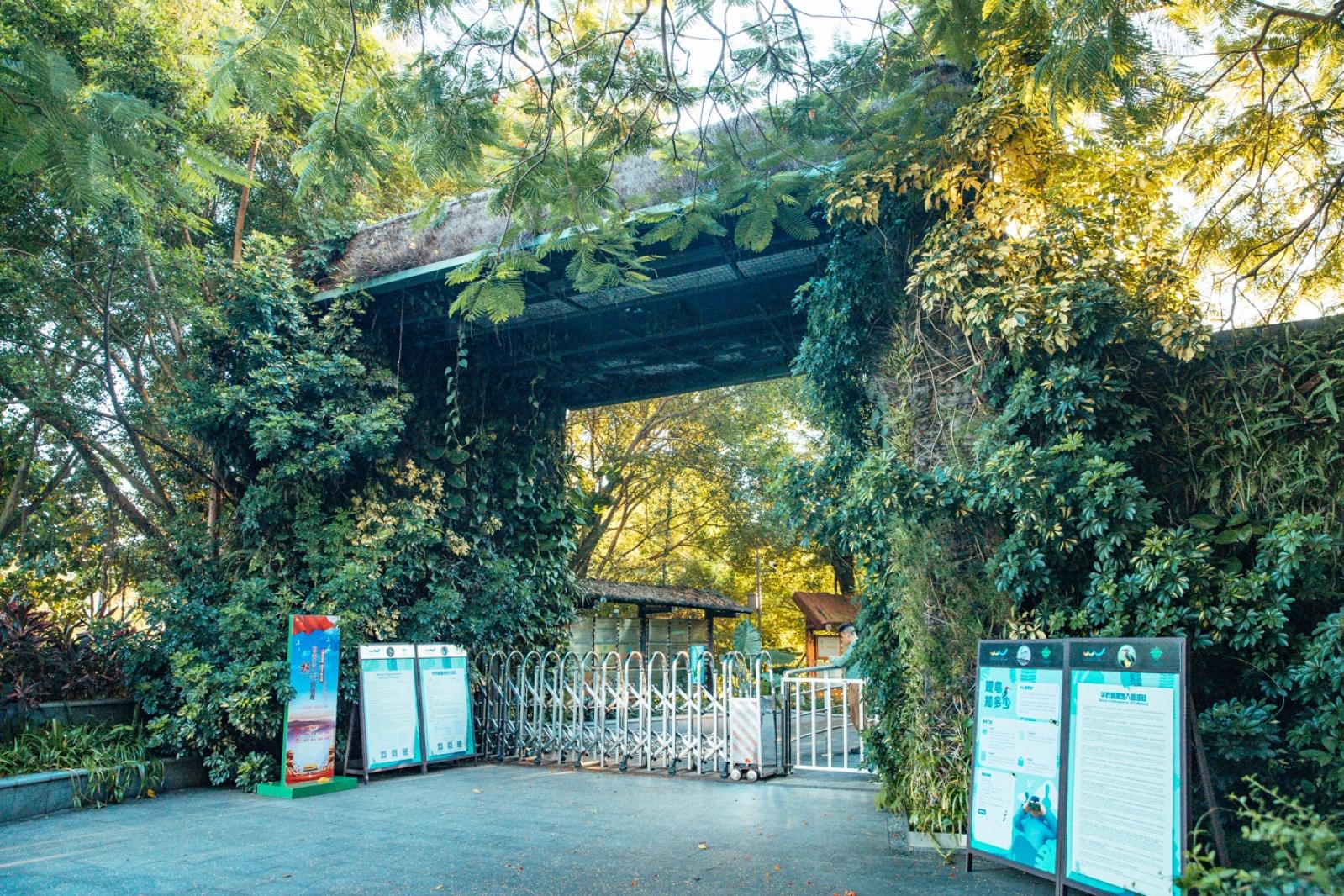 华侨城湿地公园