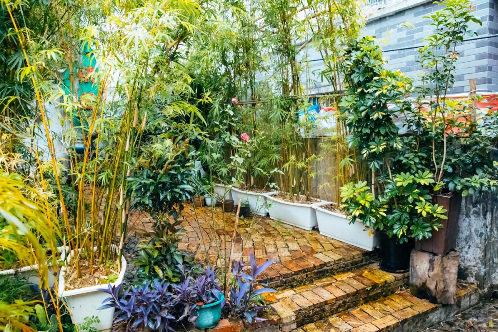 梧桐山艺术小镇