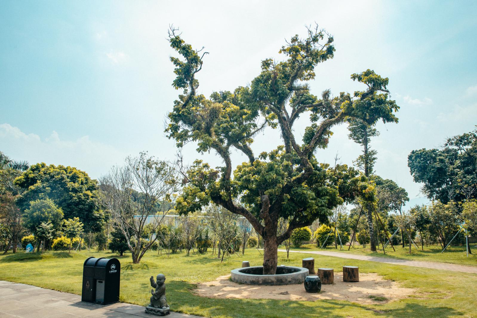 深圳大鹏东山寺