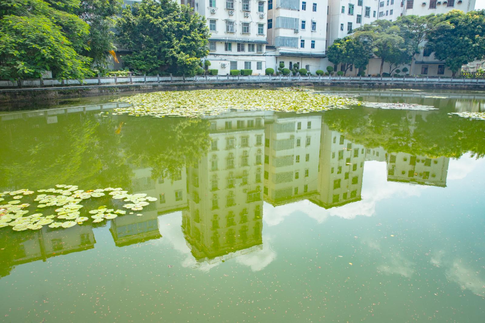 鹤湖新居