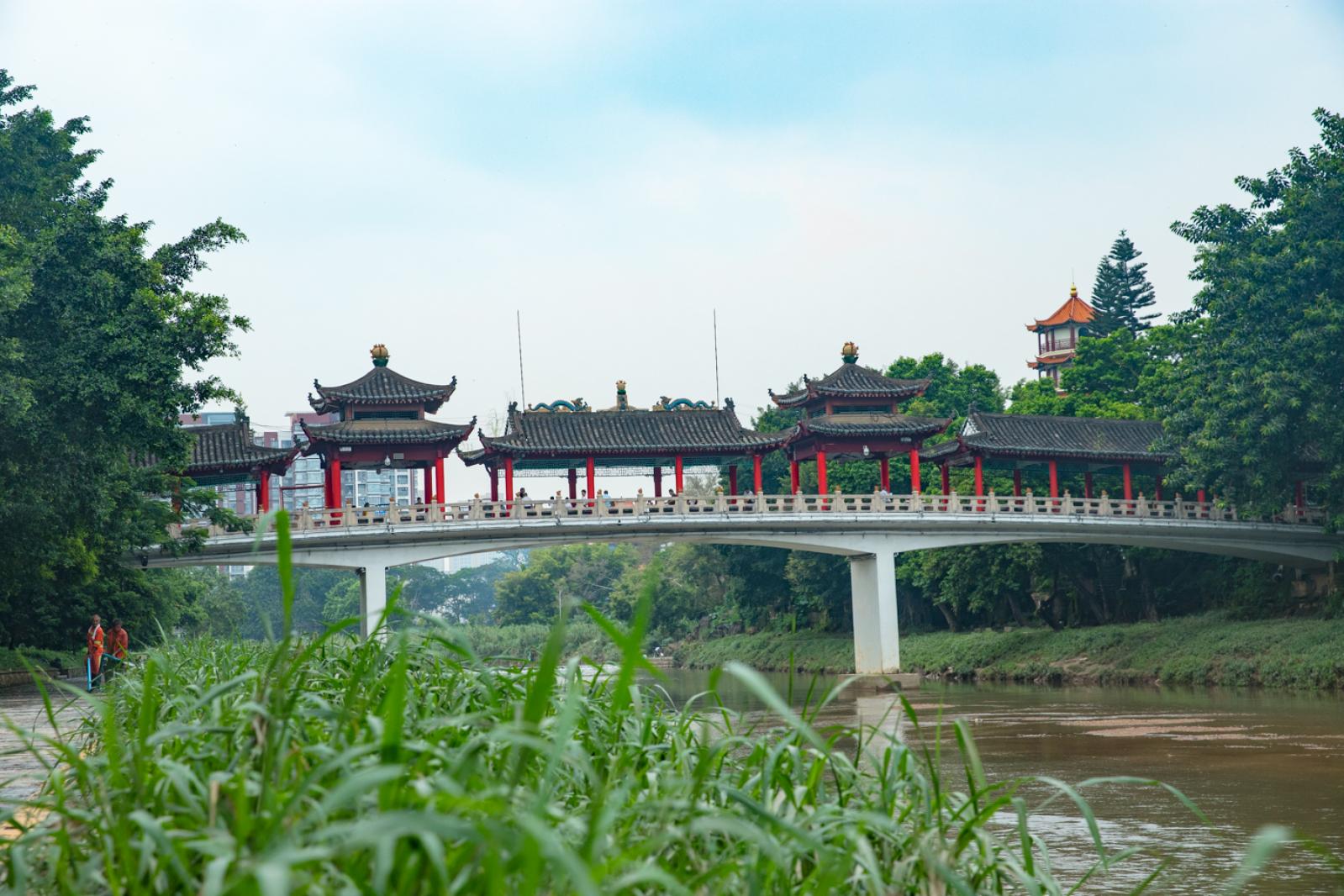 深圳龙园