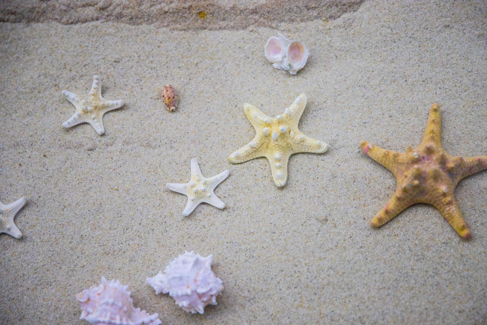 蛇口海洋博物馆