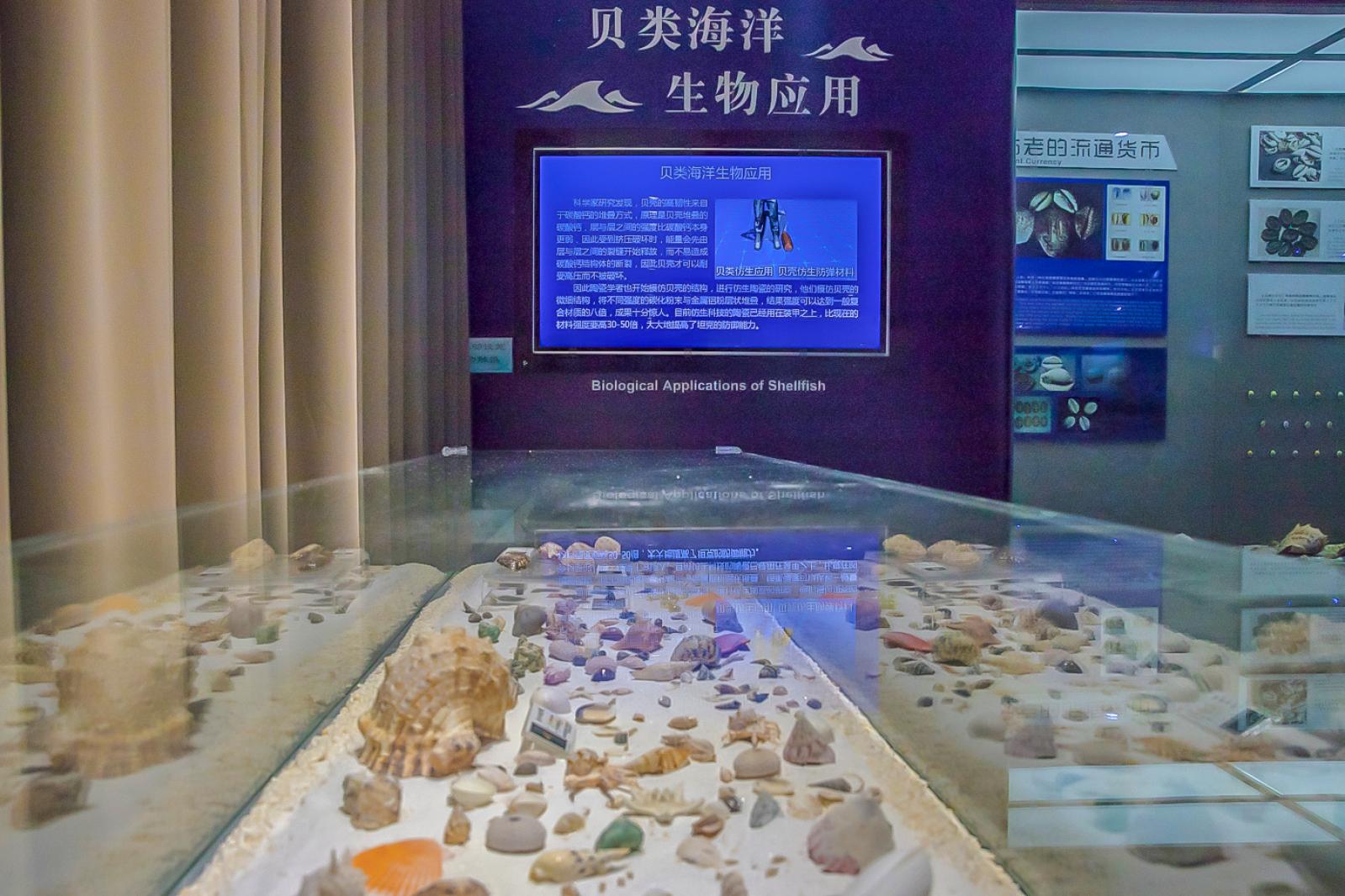 蛇口海洋博物馆