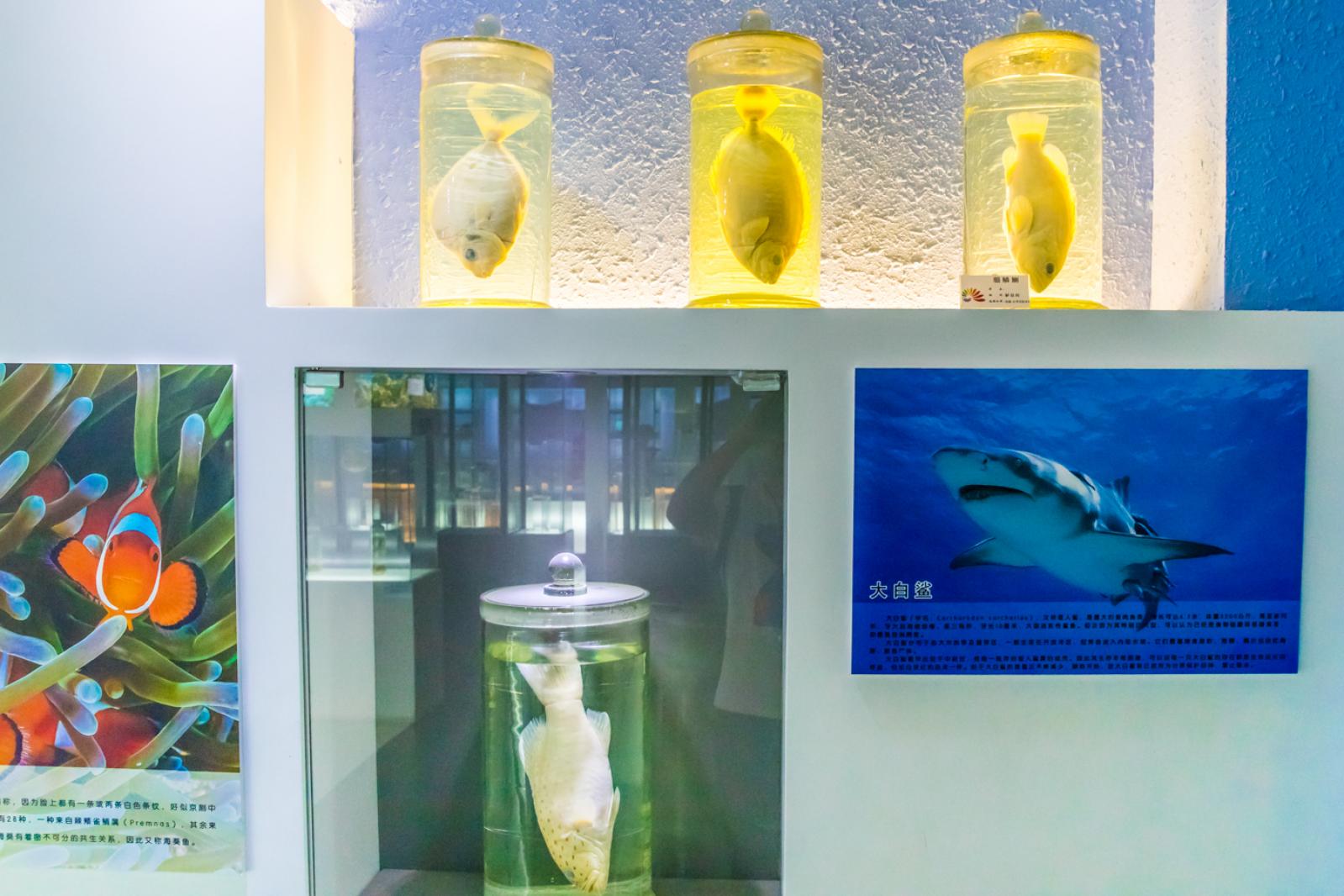 蛇口海洋博物馆
