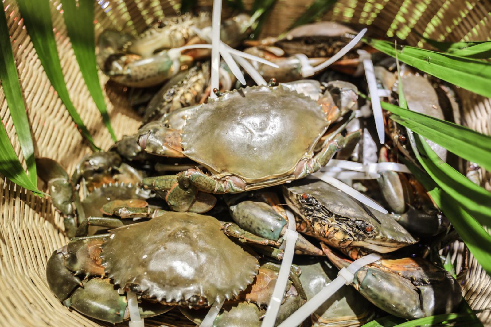 美食/海鲜