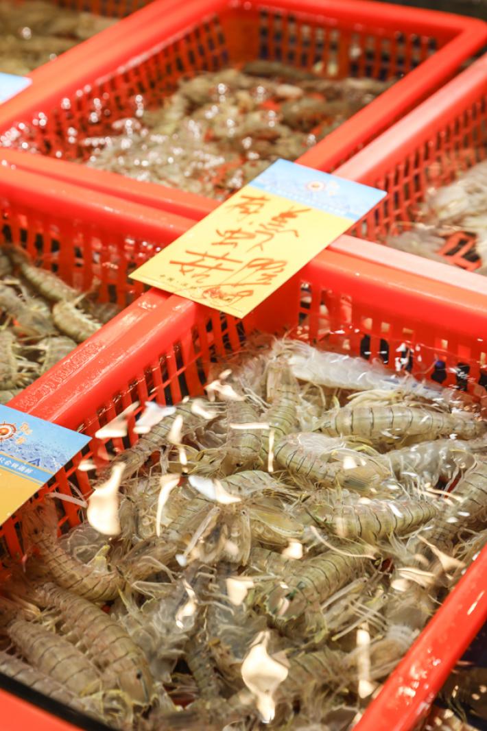 美食/海鲜