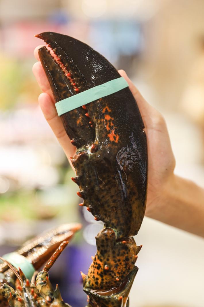 美食/海鲜