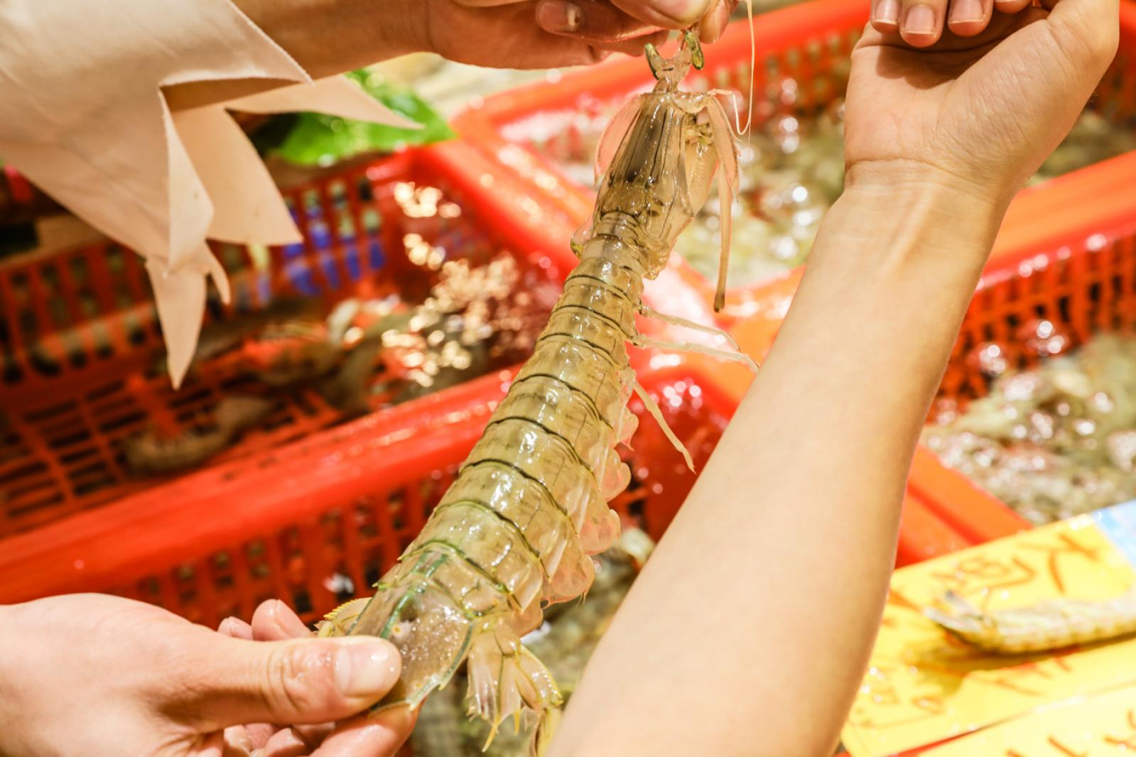 美食/海鲜