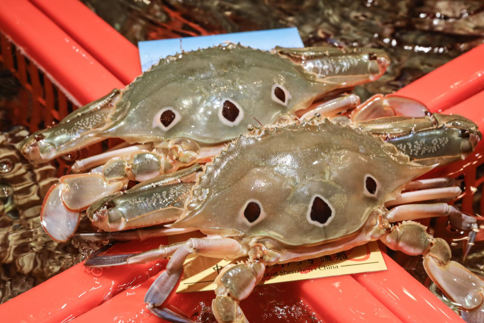 美食/海鲜