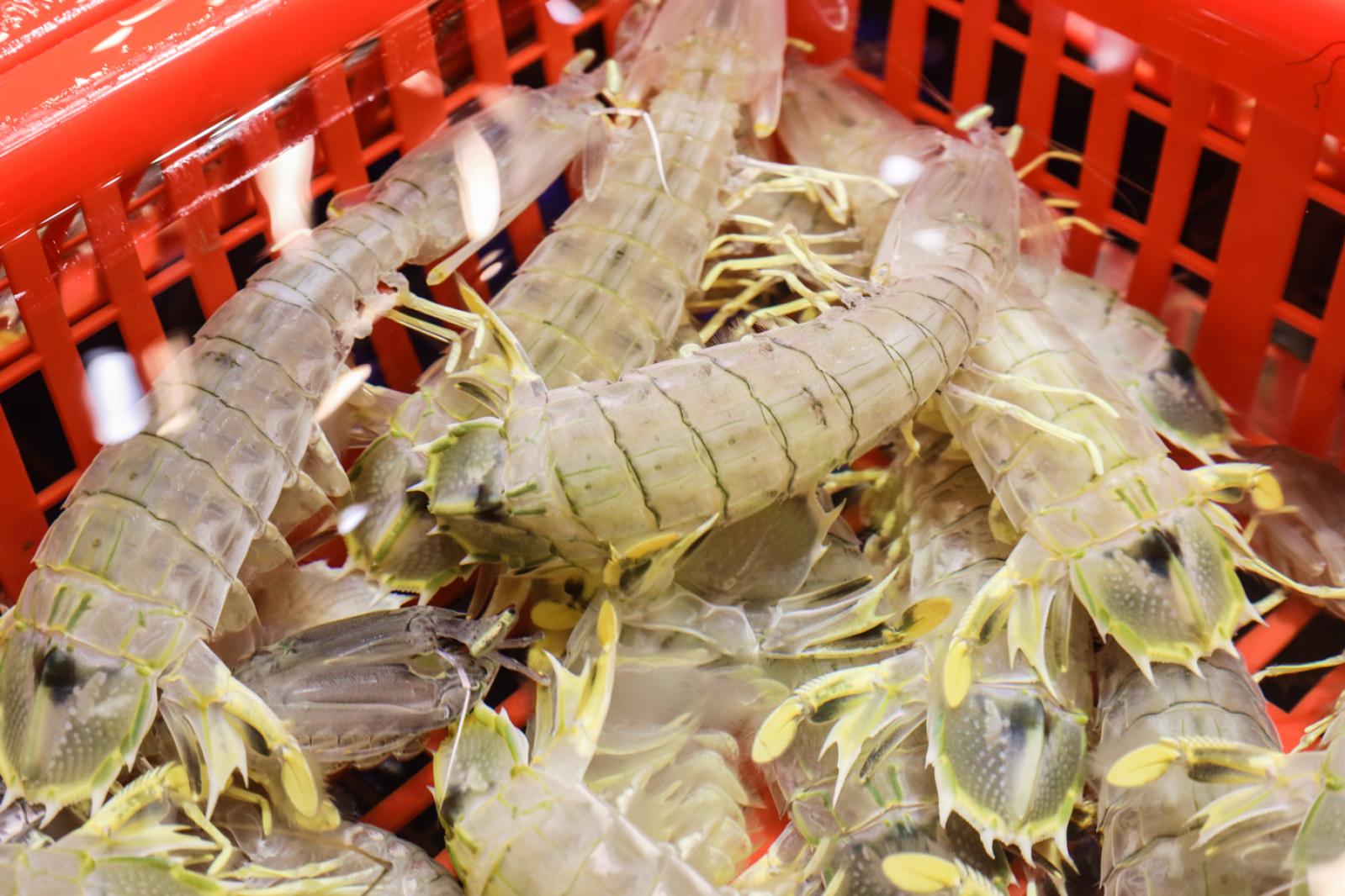 美食/海鲜