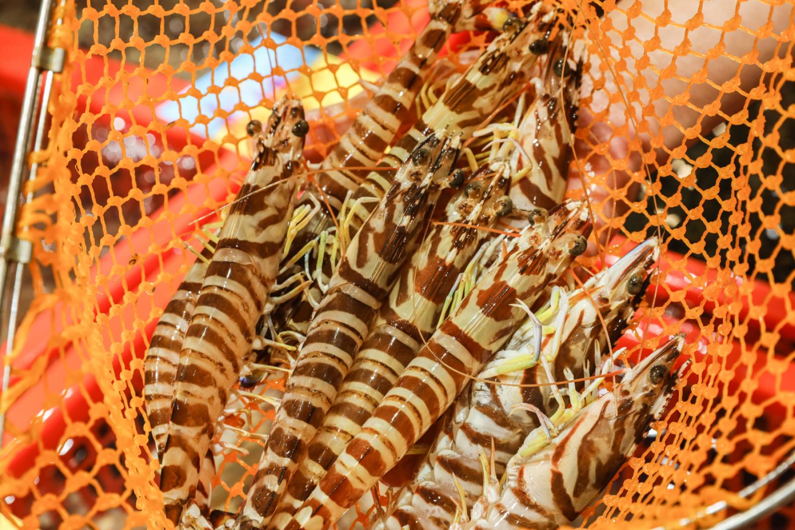 美食/海鲜