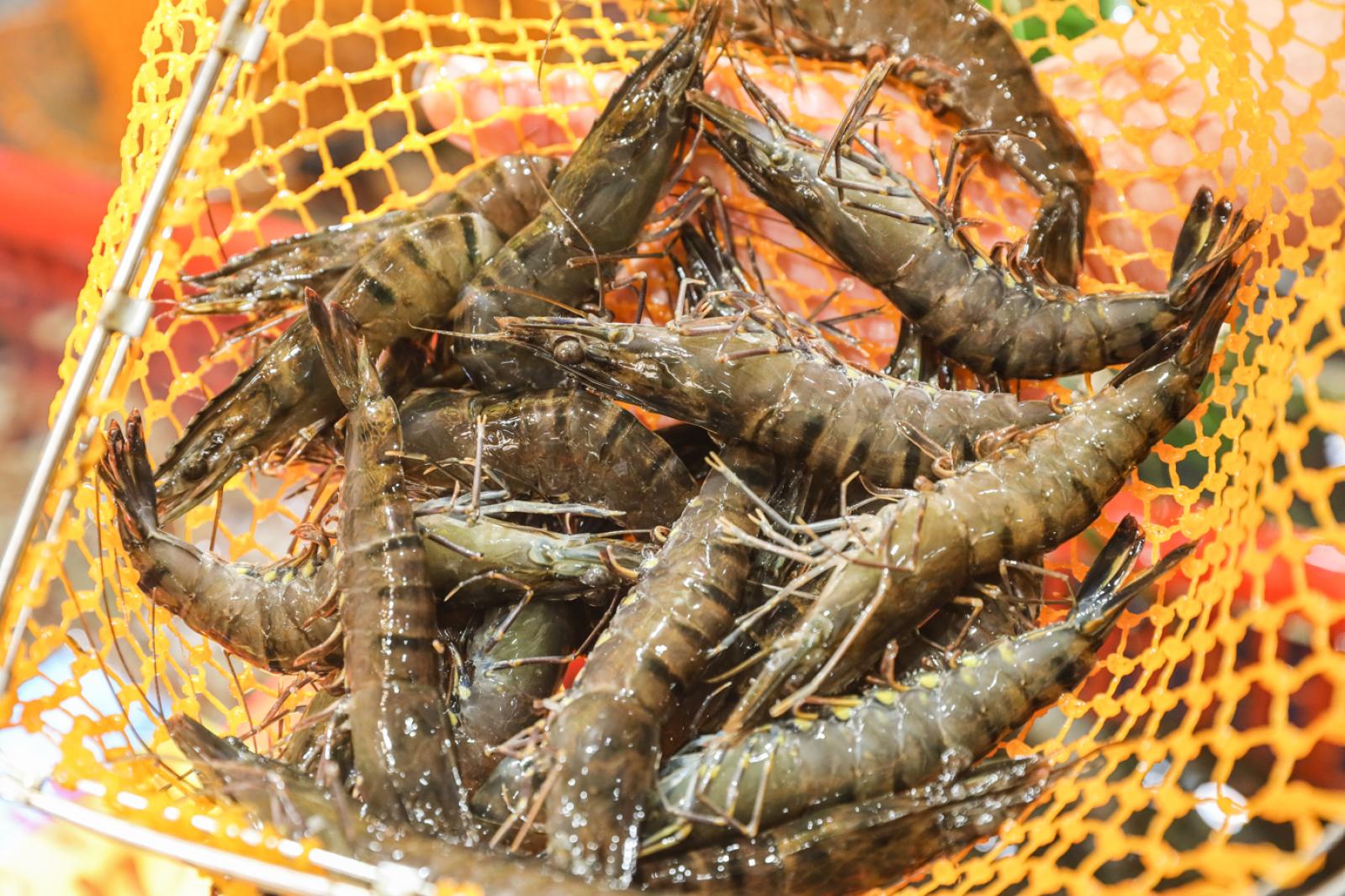 美食/海鲜