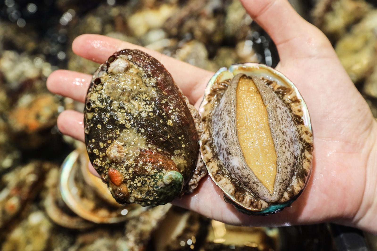 美食/海鲜