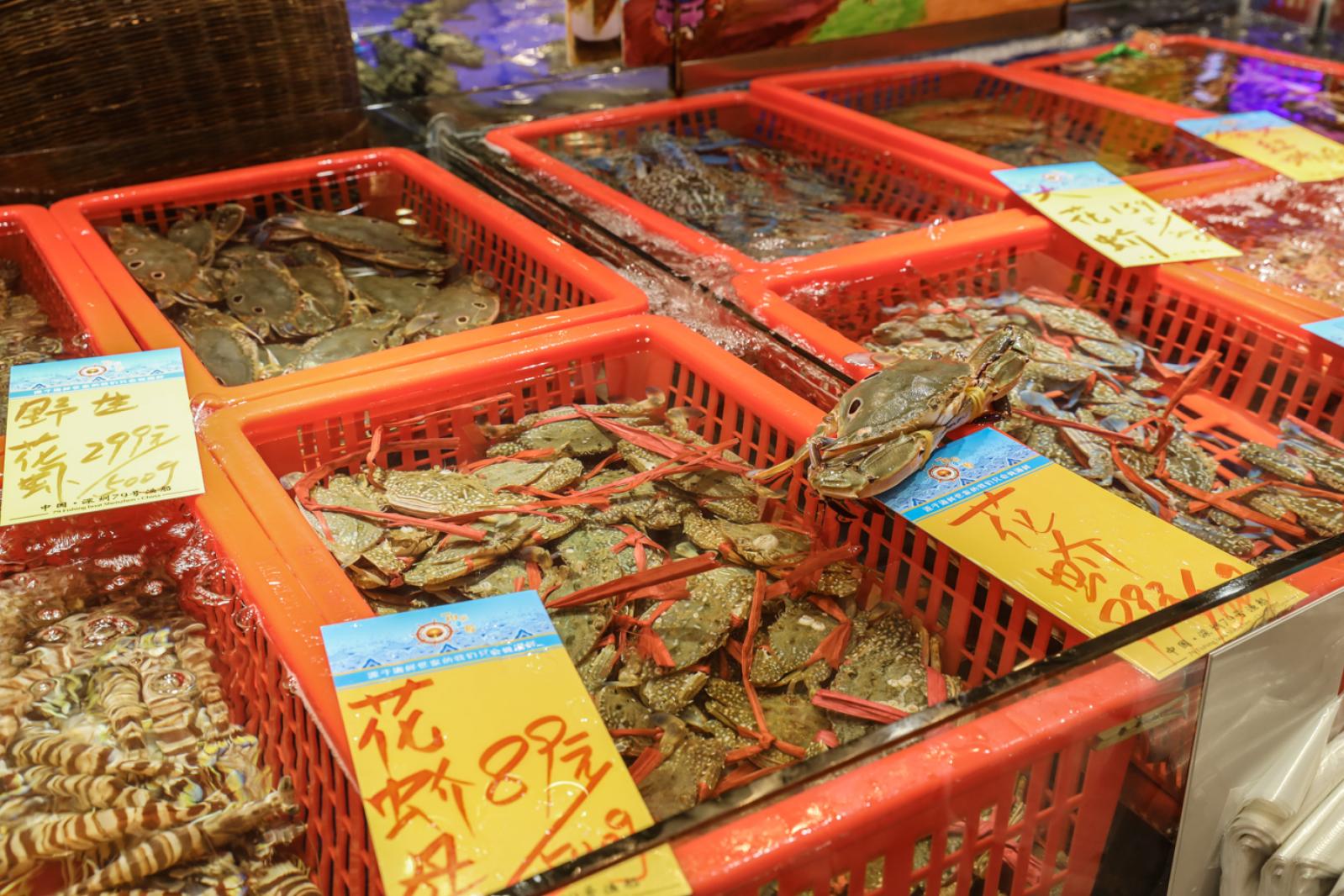 美食/海鲜