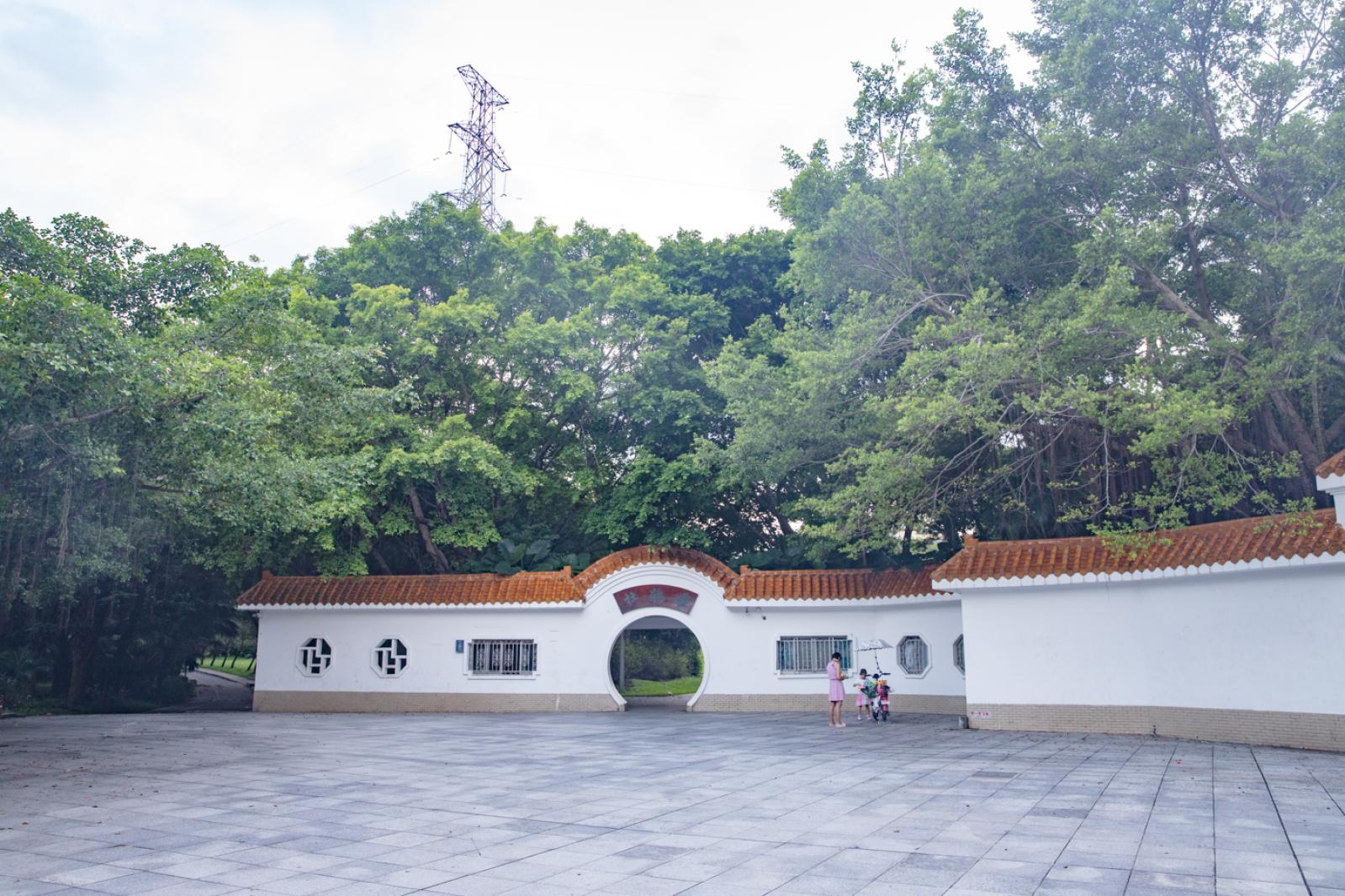 杜鹃园