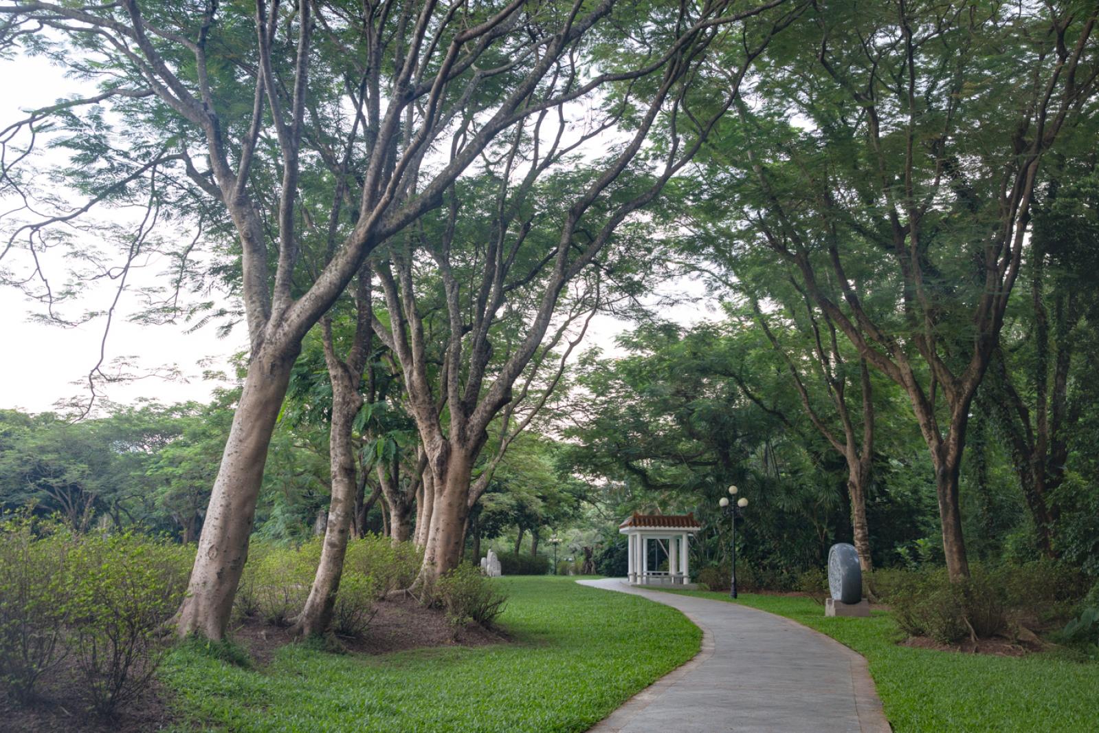 东湖公园