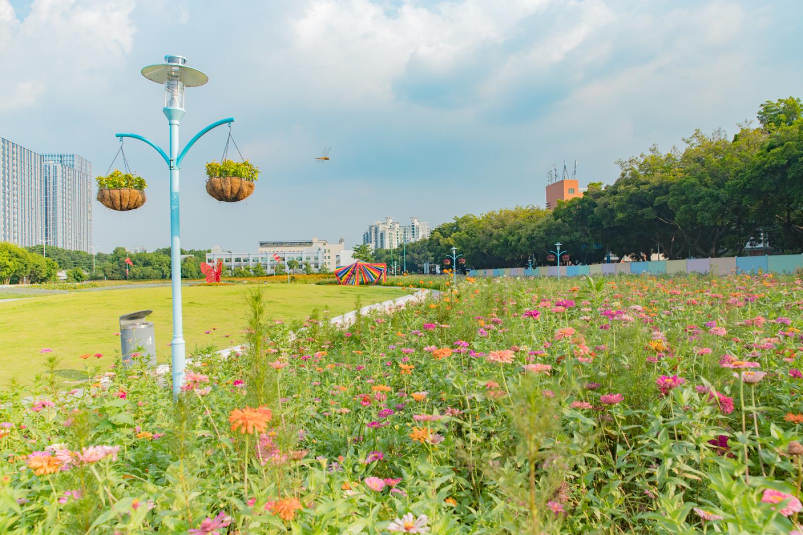 新安花田