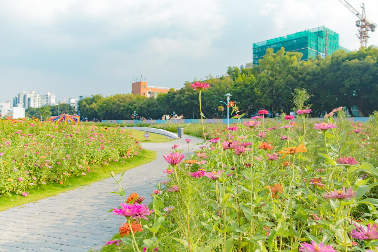 新安花田