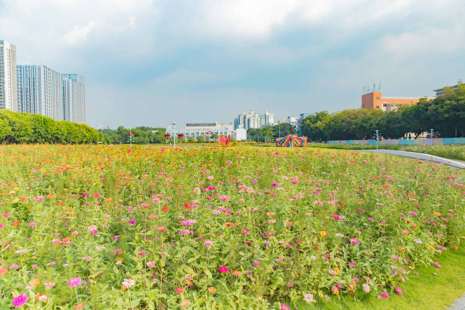 新安花田