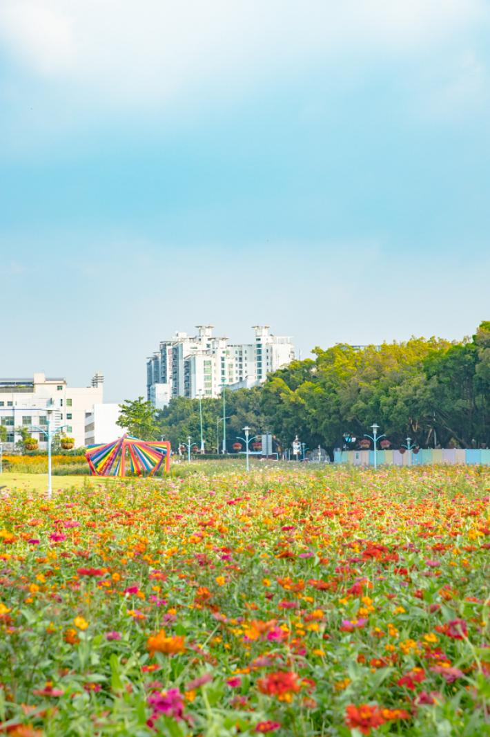 新安花田