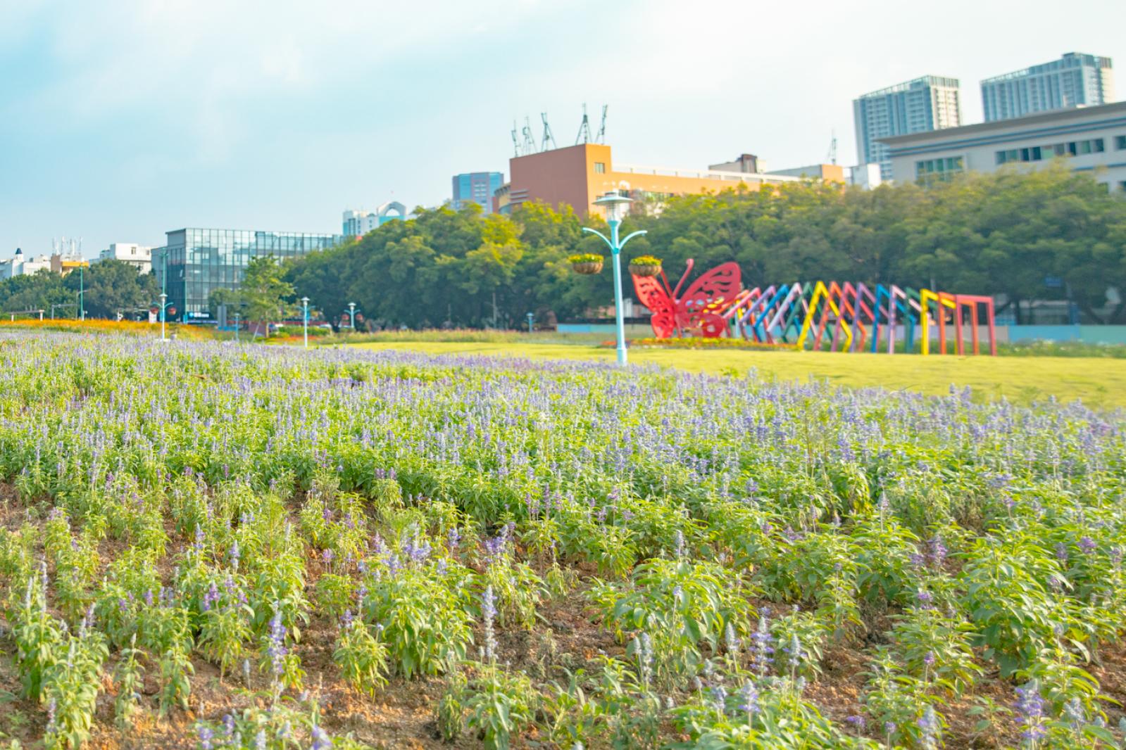 新安花田