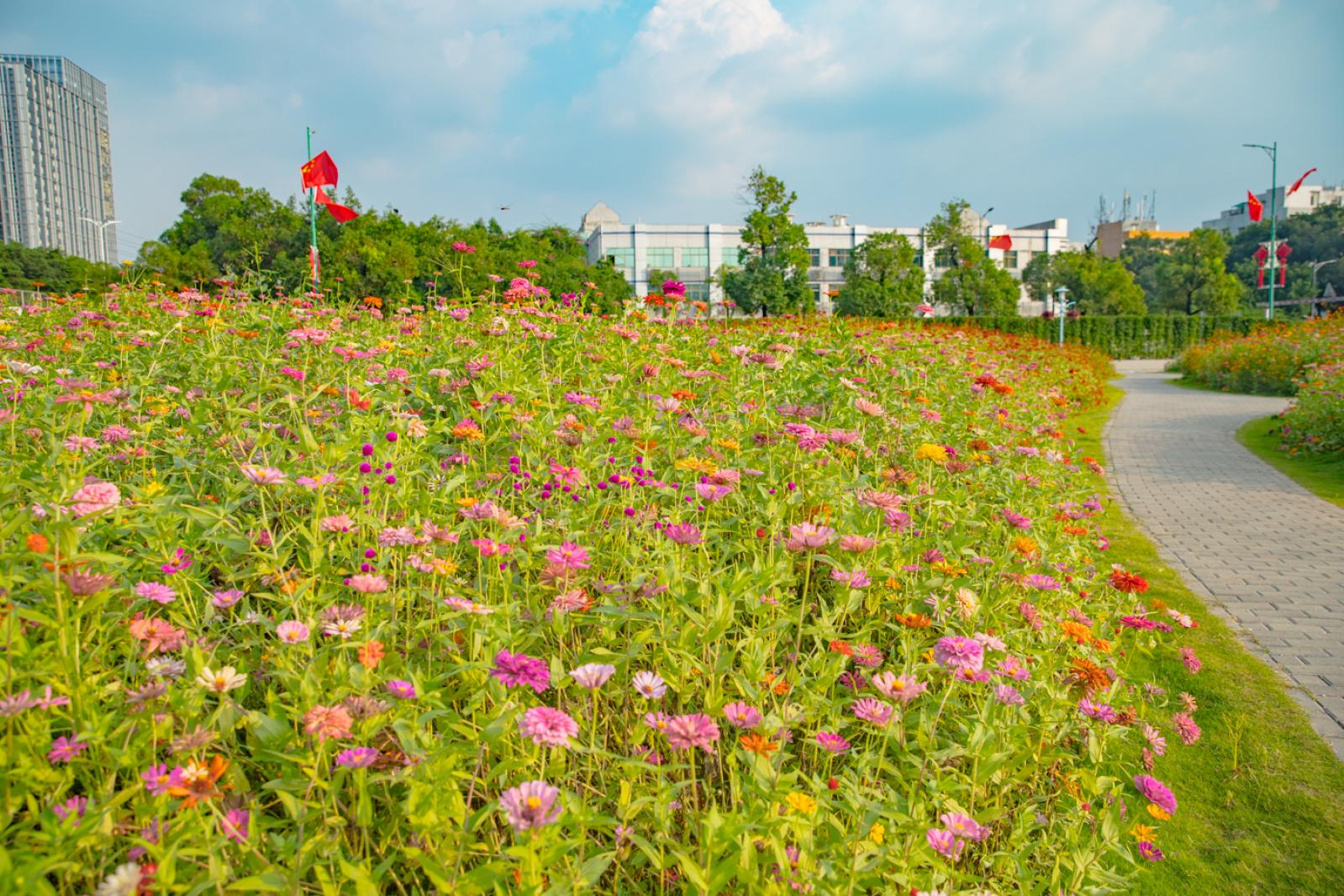 新安花田